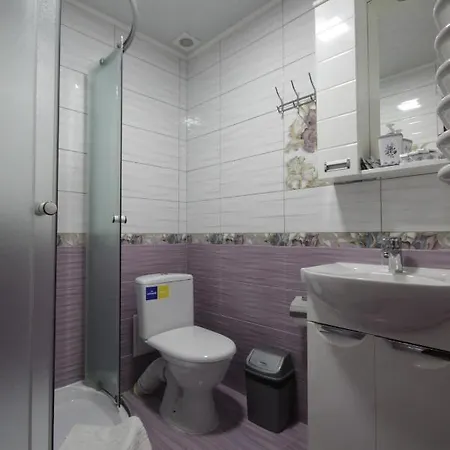 Hotel U Halyny
