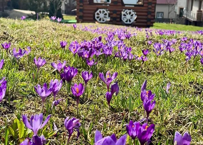 Otel U Halyny Bukovel