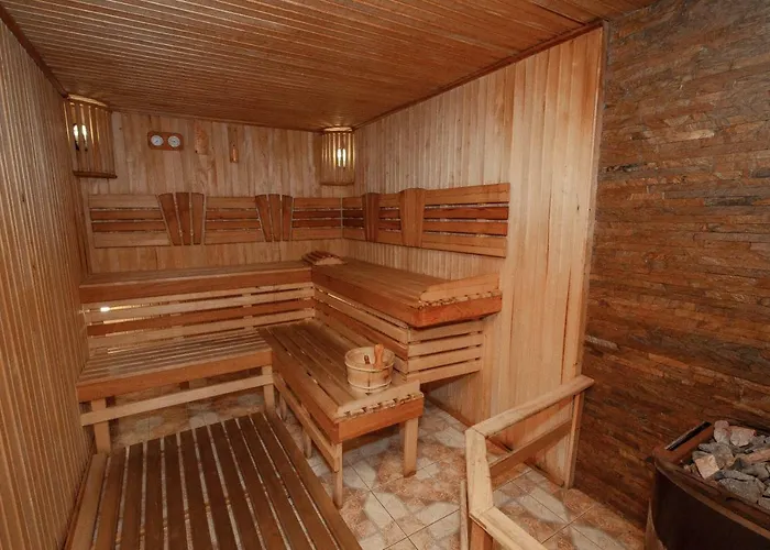 Hotel U Halyny *