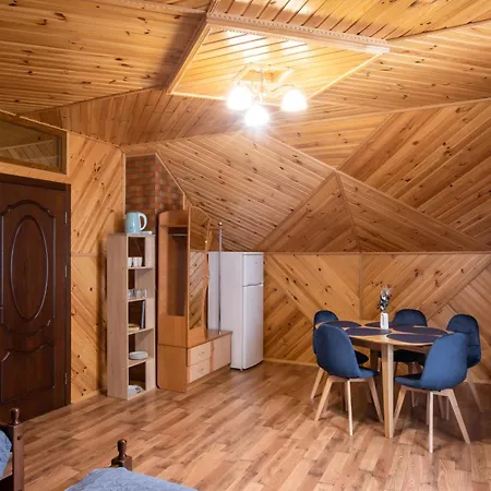 Hotel U Halyny Boekovel