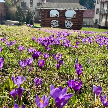 Hotel U Halyny Boekovel