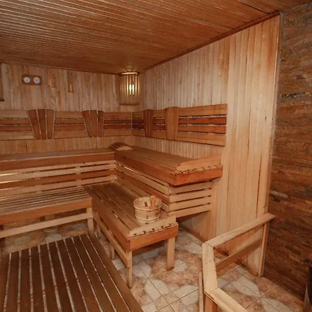 Hotel U Halyny *